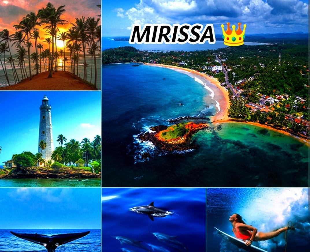 Mirissa Villa Green Pepper Esterno foto